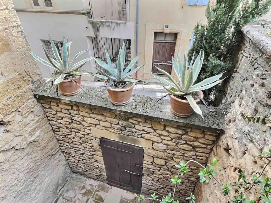 Chez Lydia - Loft Cosy, Depart Canoe A Pied, Proche Pont-du-gard Et Uzes *